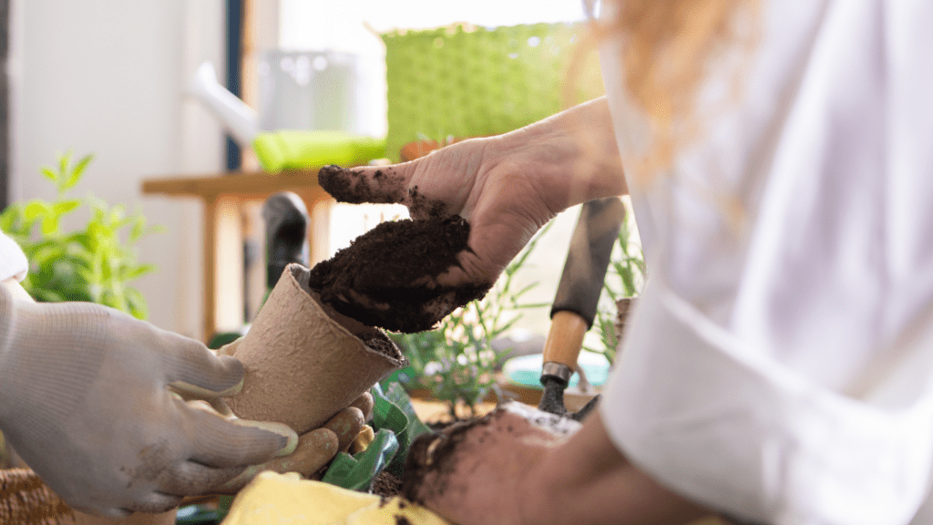 A person are tending to plants in pots.