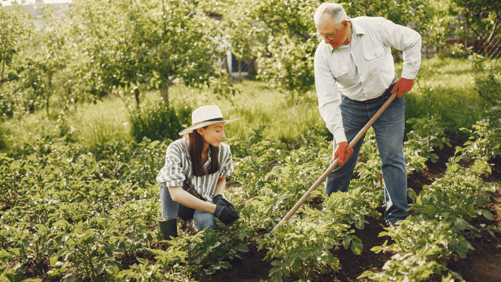 Boost Your Fitness with Urban Gardening Secrets