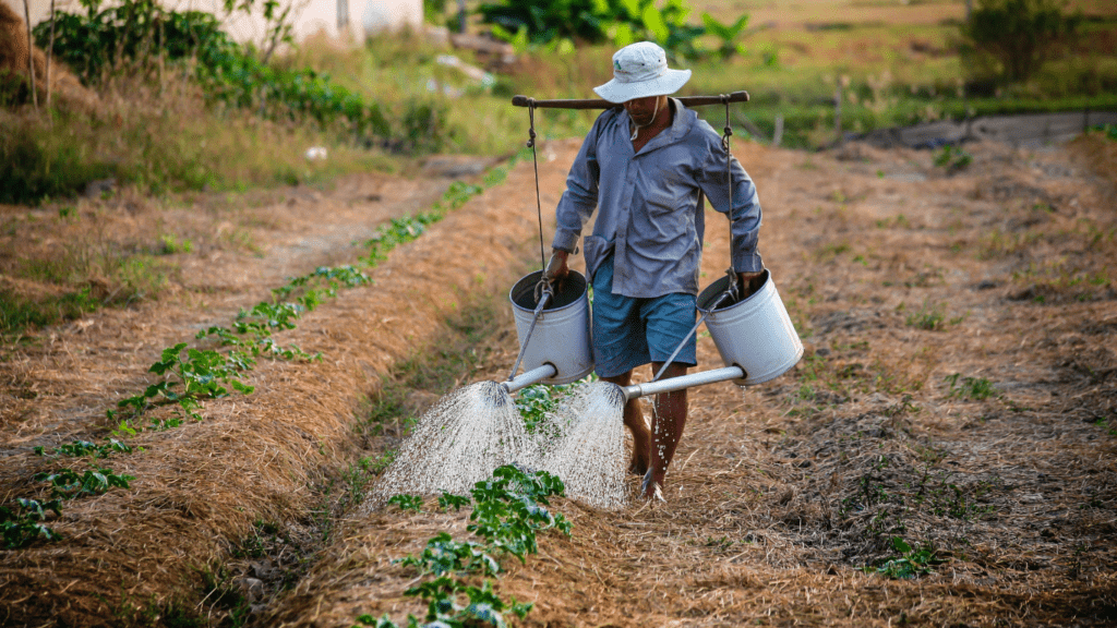 a man watering a garden