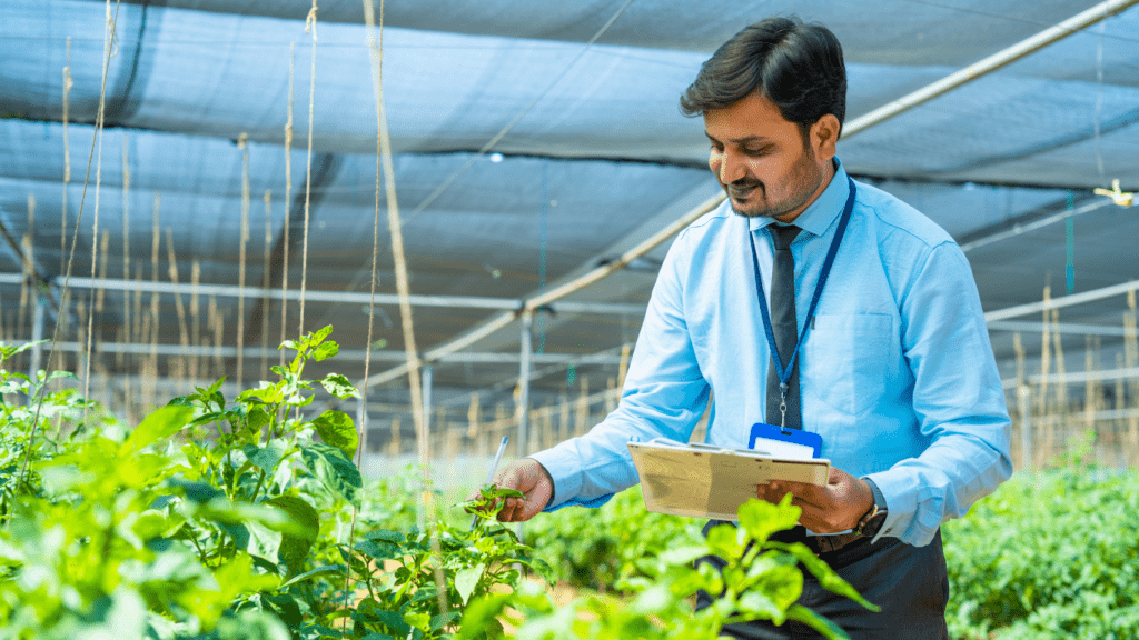 a person in a shirt is looking at plants