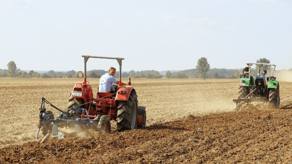 Recent Changes and Impacts of Urban Agriculture Policies