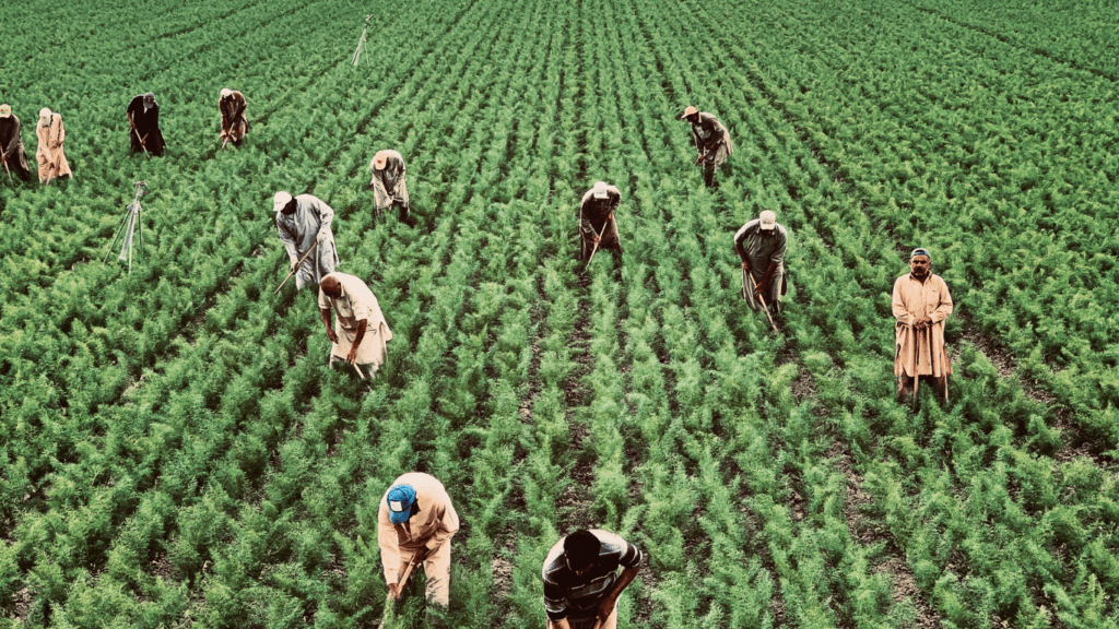 Revolutionizing Access to Fresh Produce