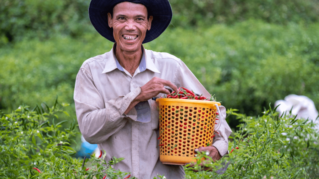 A person holding a basket of fruits