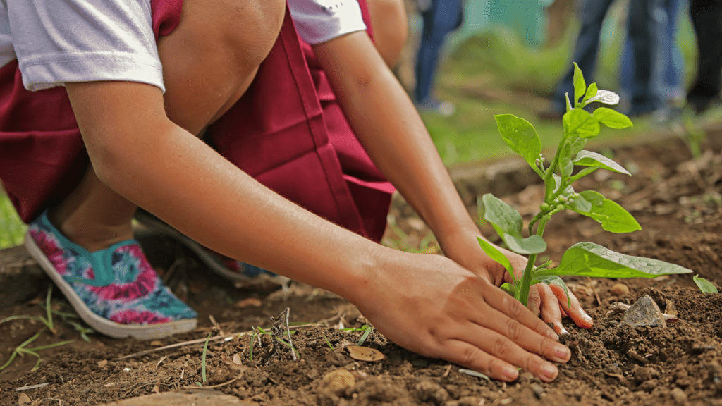 The Power of Urban Tree Planting