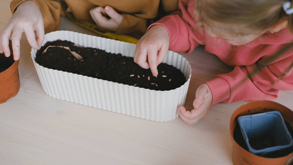 Top Eco Friendly Seed Starting Kits for Beginners