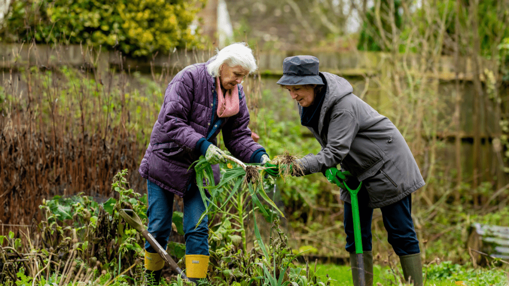 two people are working together on a backyard farm