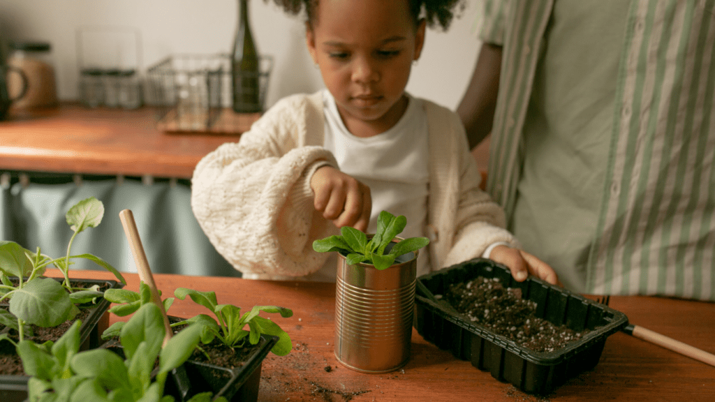 A person are tending to plants in pots.