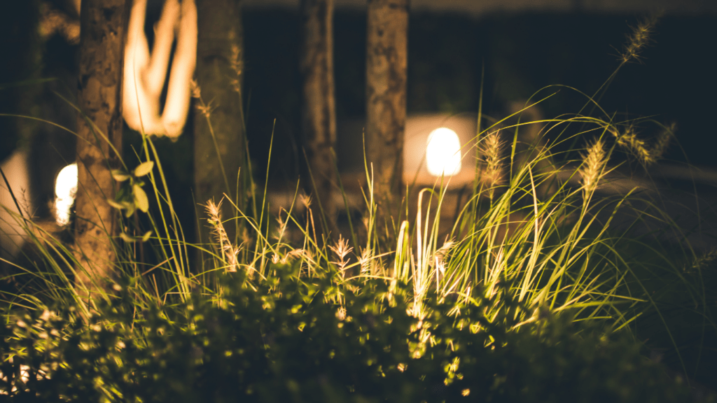 outdoor lighting in the garden at night