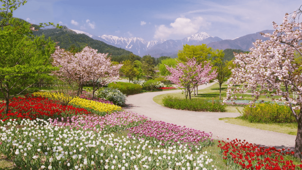 an image of a flower garden