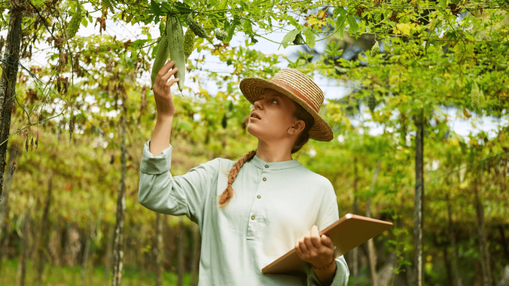 a person in a shirt is looking at plants