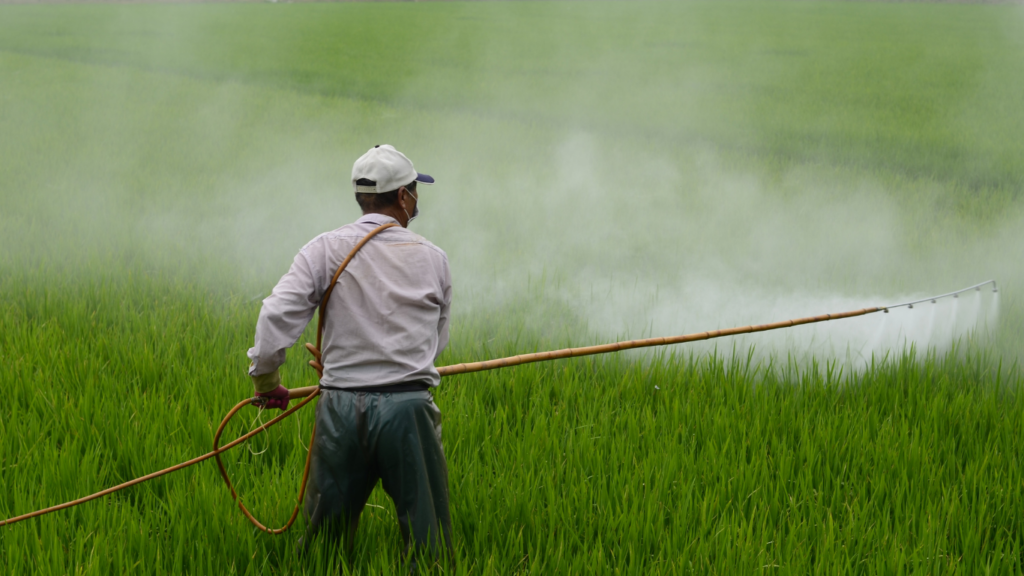 a person spraying a pesticide on a plant