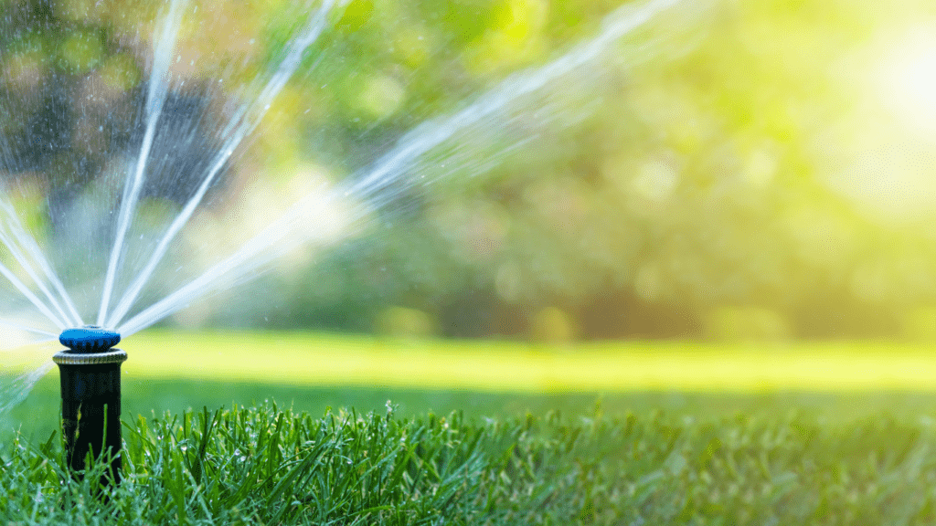 a sprinkler is spraying water on a green field