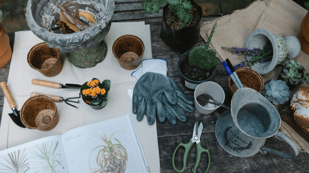 gardening tools on a wooden table