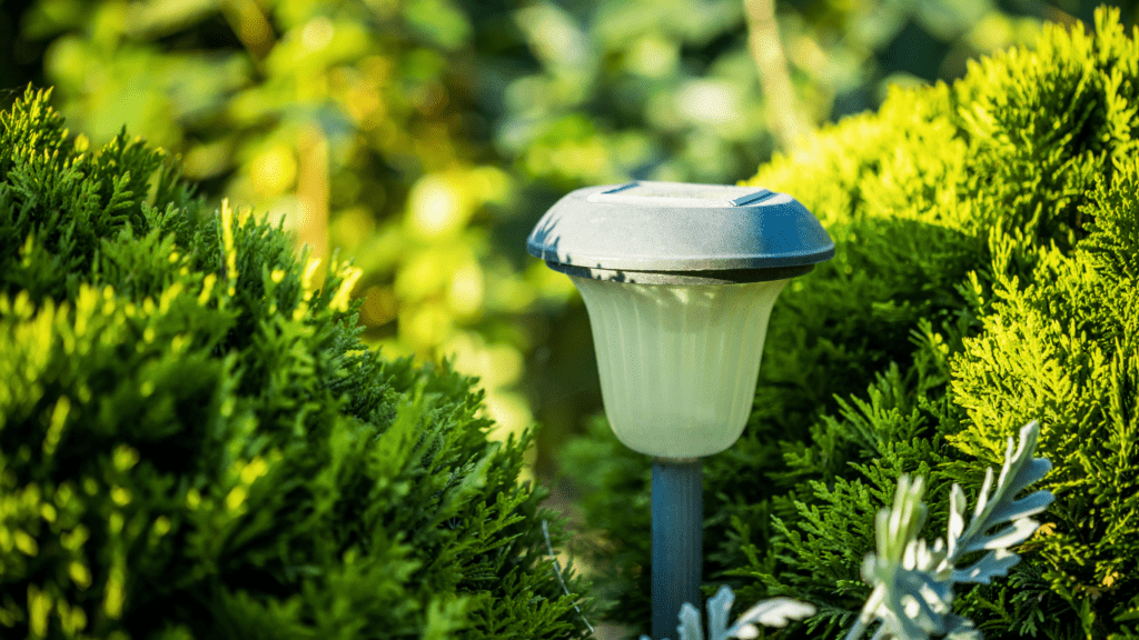 outdoor lighting in the garden at night