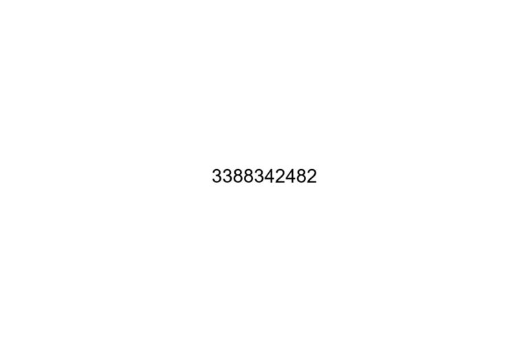 3388342482
