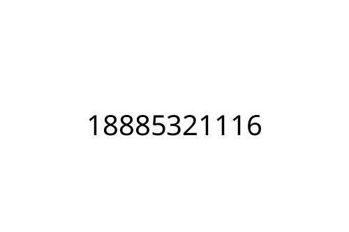 18885321116