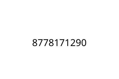 8778171290