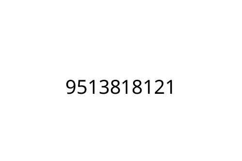 9513818121