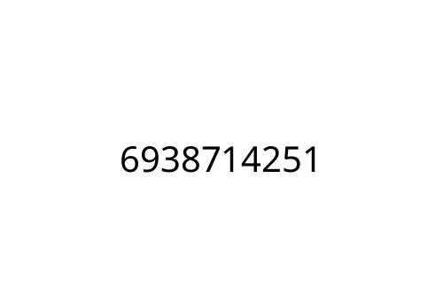 6938714251