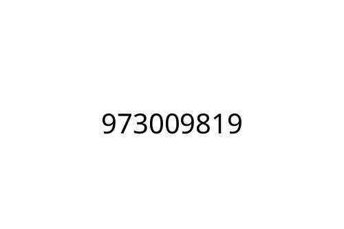 973009819