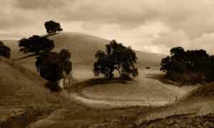 dietary infoguide ontpdiet