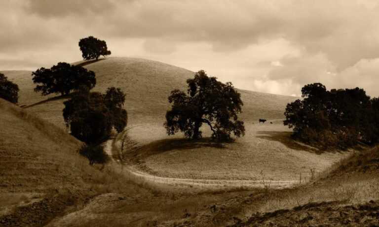 dietary infoguide ontpdiet