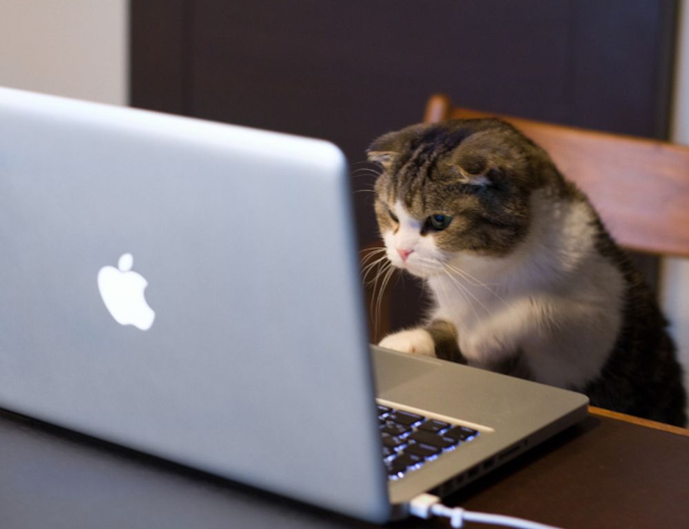 easy ethnic recipes fhthfoodcult