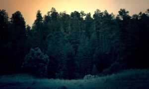 easy recipes llblogfood