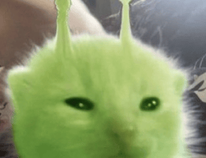 fast recipe llblogfood