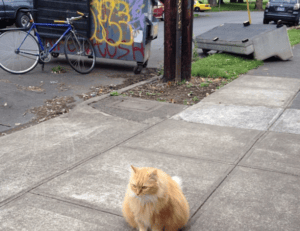 foods that stay good some time after expiration date fhthgoodfood