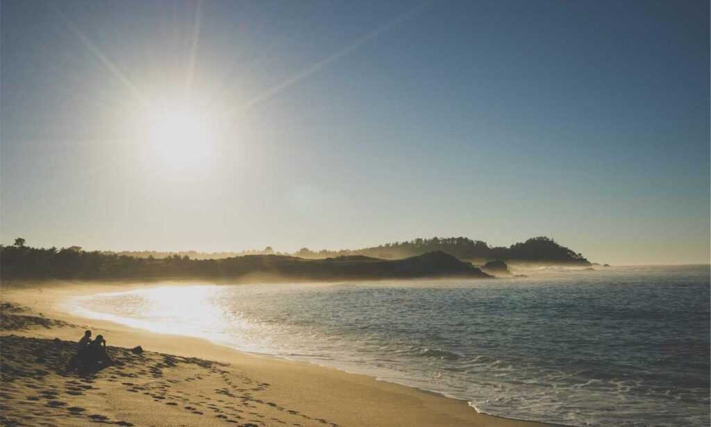 frying guide cwbiancarecipes