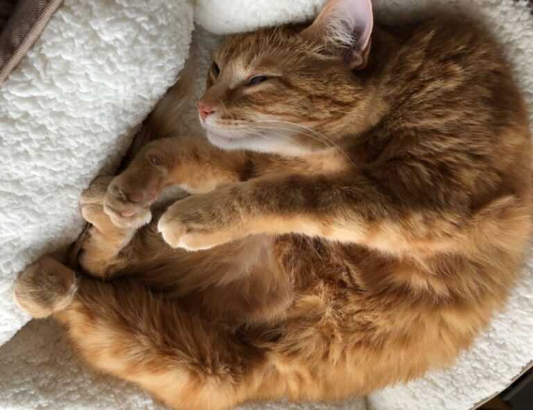 global recipes tbfoodtravel