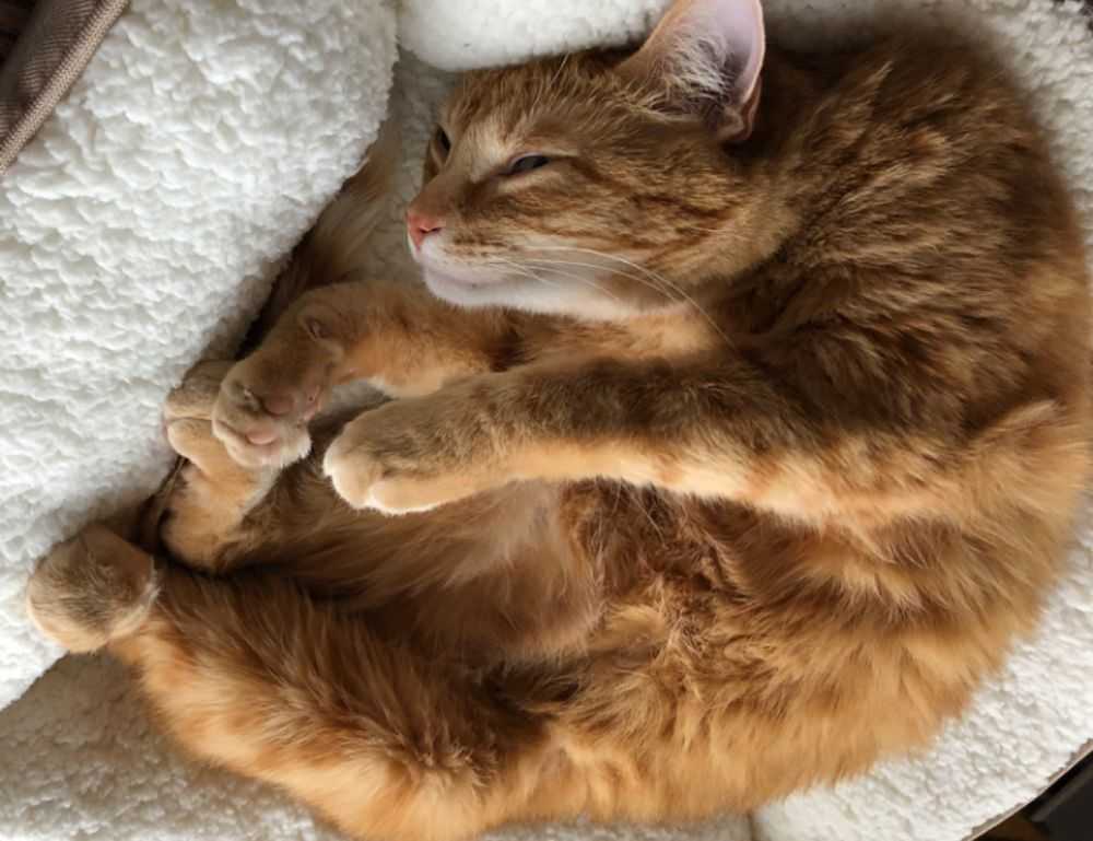 global recipes tbfoodtravel