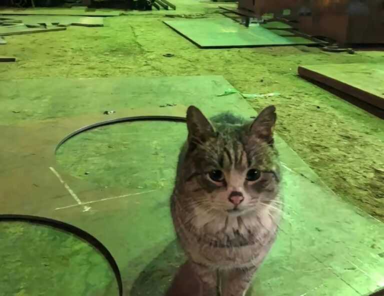 healthy nourishment cwbiancarecipes