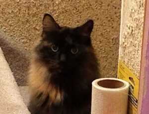 healthy snacks fhthgoodfood