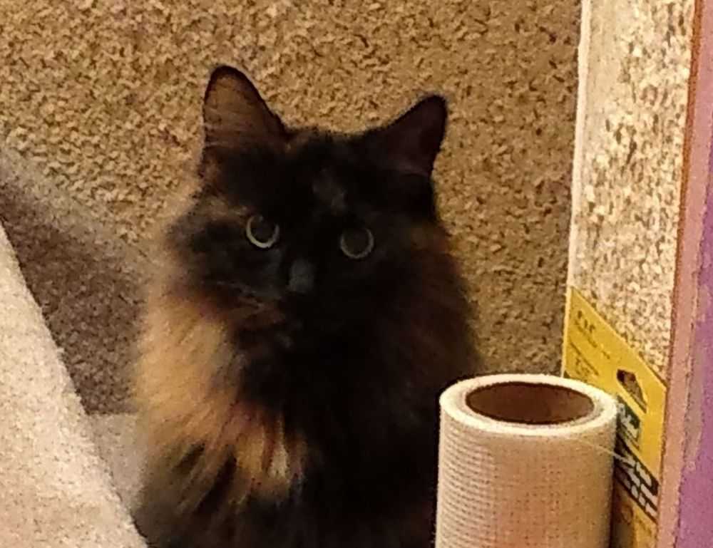 healthy snacks fhthgoodfood