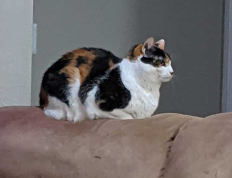 heartarkable cooking guide from homehearted