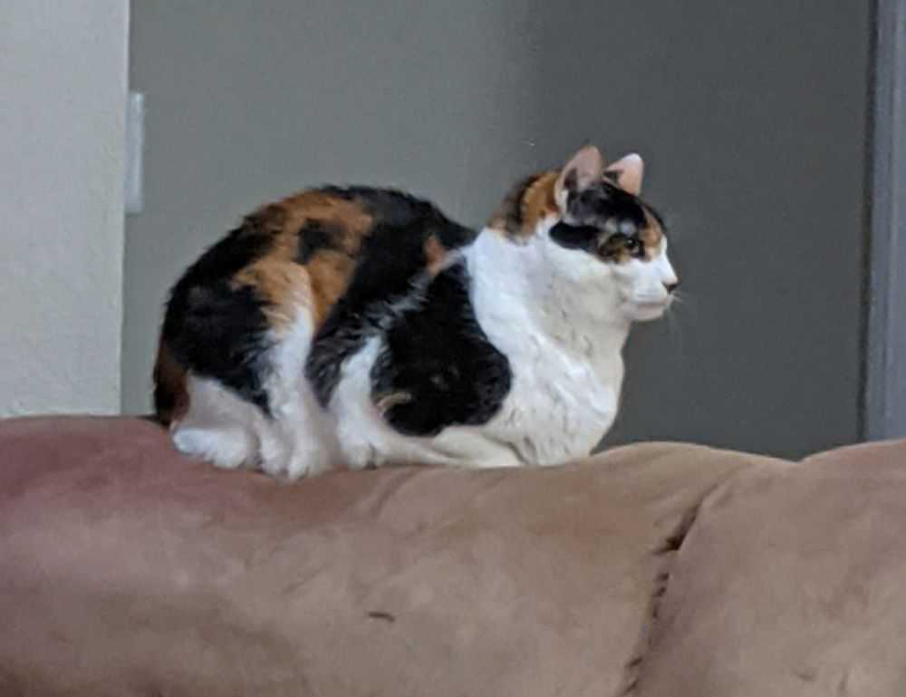 heartarkable cooking guide from homehearted