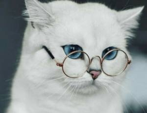 heartarkable easy recipes by homehearted