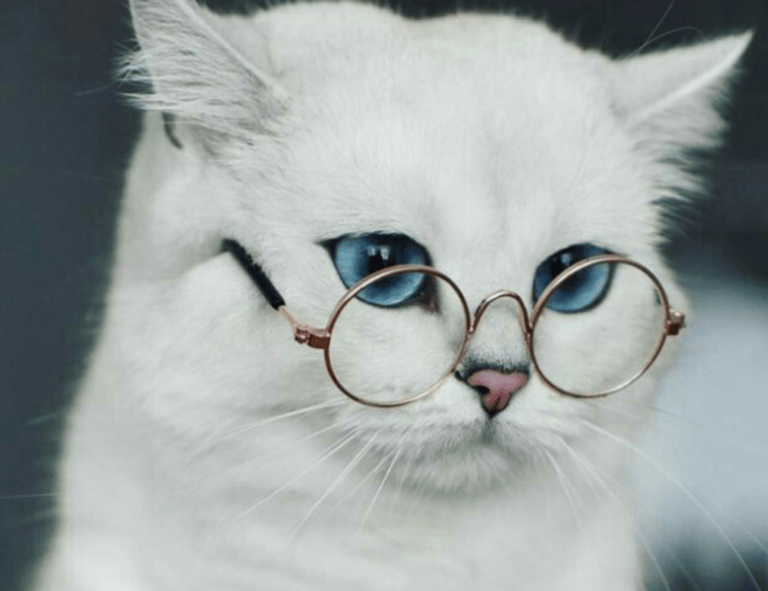 heartarkable easy recipes by homehearted