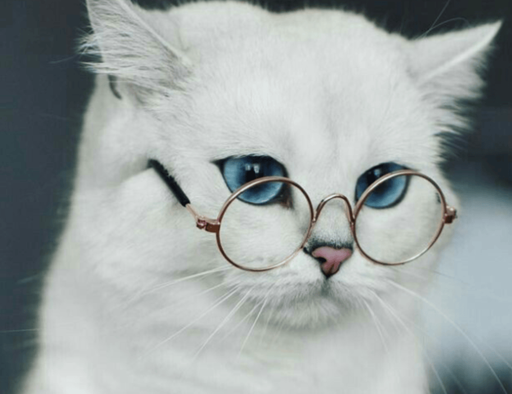 heartarkable easy recipes by homehearted