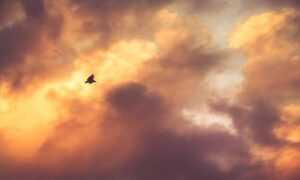 how to cook ethnic food tbfoodtravel