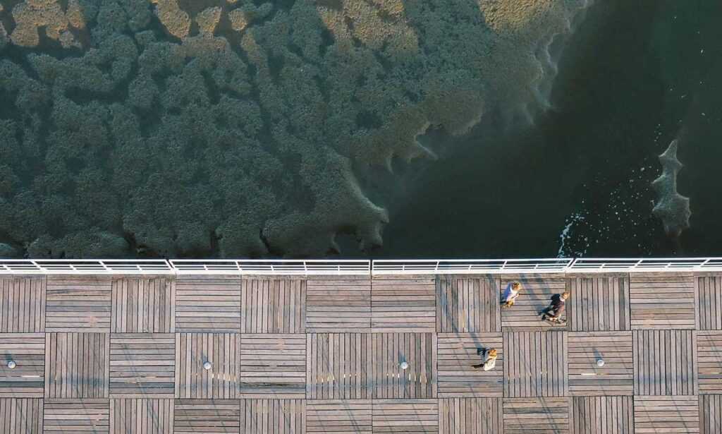 how to cook lightly ontpdiet