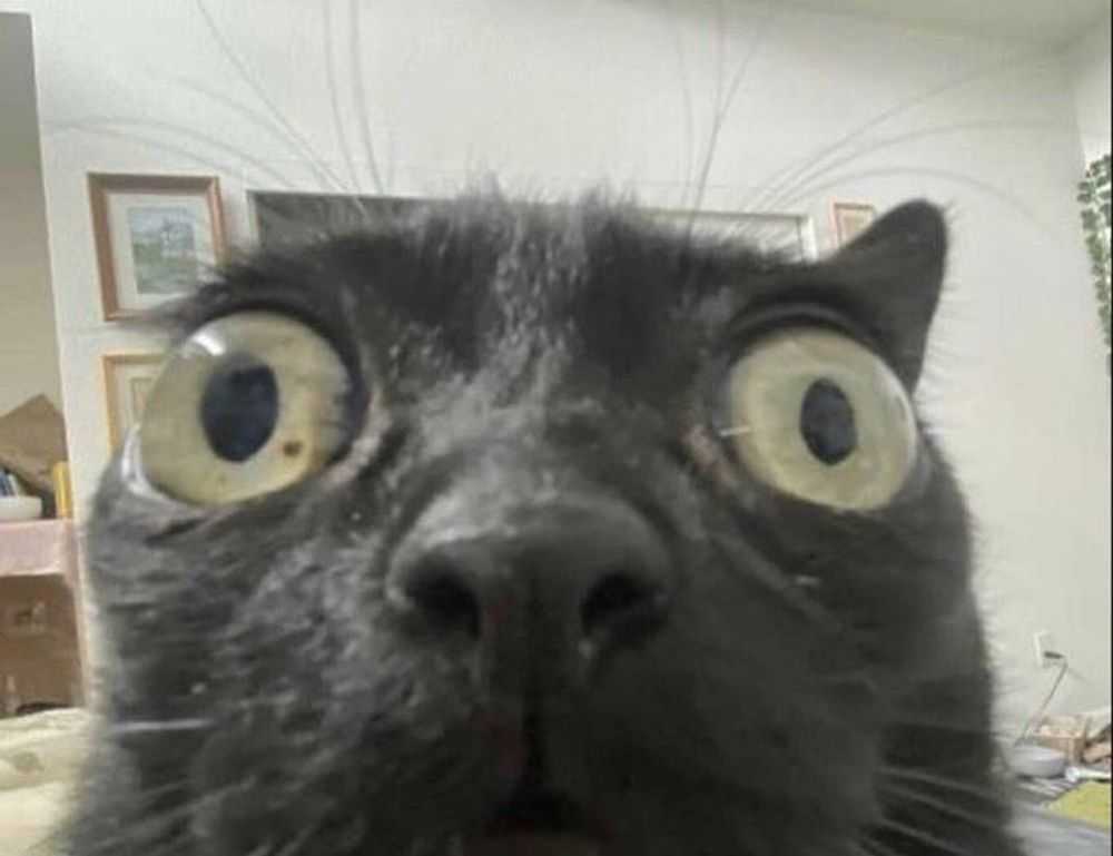 how to find fine cooking recipes heartarkable