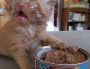 improve software 5984.jfy.587.64 version