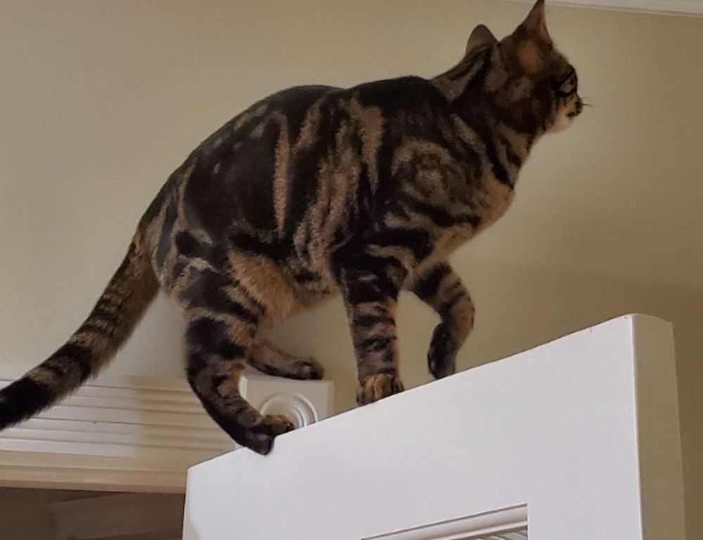 nutrition tips fhthgoodfood