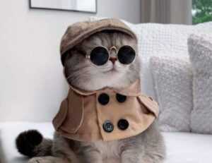 nutritional advice fhthgoodfood