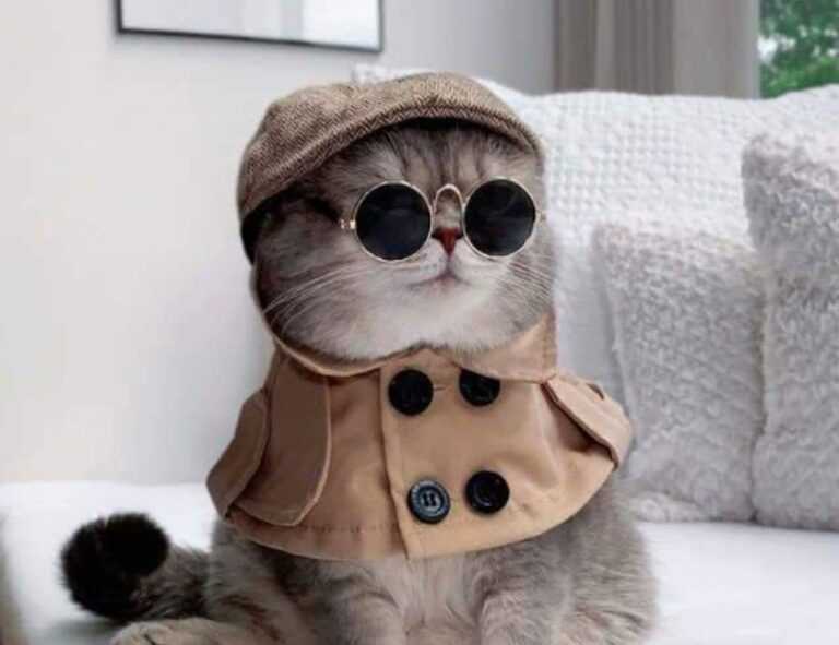 nutritional advice fhthgoodfood