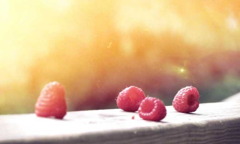 recipes heartarkable