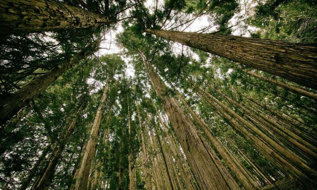 tasty recipe llblogfood